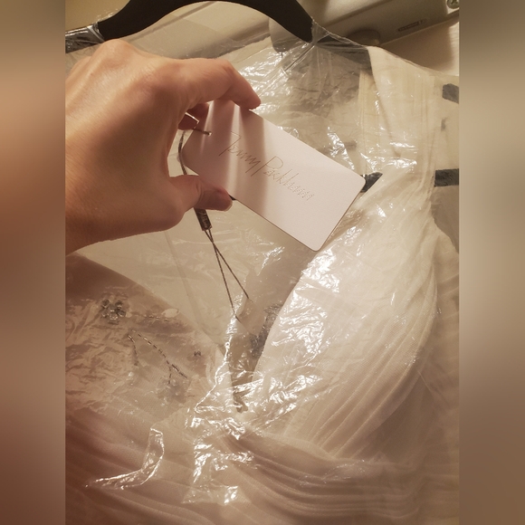 Jenny Packham Wedding Dress, BRAND NEW with tags. - Picture 14 of 15